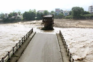 Sập cầu làm 8 người chết, mất tích là do... thiên tai?
