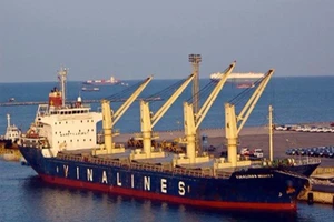 Giá trị thực tế của Vinalines là bao nhiêu?