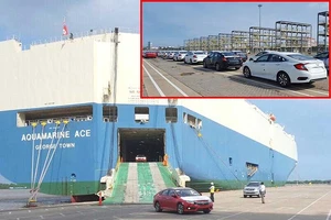 Lô hàng ô tô nhập khẩu của Honda vừa cập cảng Hiệp Phước, TP.HCM. Ảnh: MẠNH TIẾN