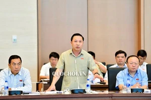 Quy hoạch: 'Chân giả đánh chết chân thật'