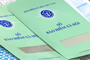 Hàng ngàn người ốm đau, già yếu được chi trả chế độ tận nhà