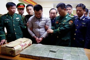 Sáu tháng, tuyên phạt tử hình, chung thân 285 tội phạm ma túy