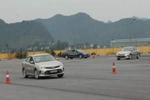 Phát hiện nhiều giáo viên dạy lái xe xài văn bằng giả