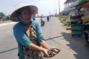 Yêu cầu xử nghiêm 'đinh tặc' lộng hành trên quốc lộ 1