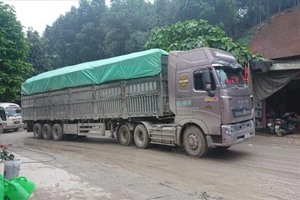 Xe chở quá tải hoạt động trên địa bàn tỉnh Yên Bái. Ảnh: Báo Lao Động