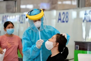 Hàng không gặp khó trong việc khôi phục đường bay nội địa