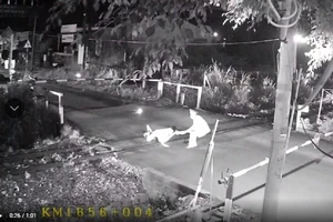 Bộ trưởng GTVT gửi thư khen nhân viên gác chắn dũng cảm cứu người