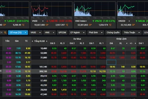FLC Faros lên tiếng về việc cổ phiếu ROS có nguy cơ bị đình chỉ giao dịch