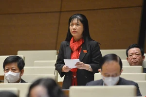 Đại biểu tranh luận về 'thà đứng trước hội đồng kỷ luật còn hơn đứng trước hội đồng xét xử'