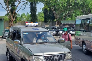 Kiểm soát, chấm dứt việc cấp giấy phép lái xe cho người nghiện ma túy