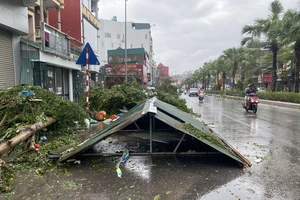 Người Hà Nội qua những đợt cuồng phong bão số 3