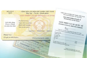 Cục Đường bộ yêu cầu cấp bằng lái xe theo phân hạng mới cho người dân