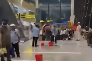 Yêu cầu xử lý dứt điểm rò rỉ nước mưa ở nhà ga T3 sân bay Tân Sơn Nhất