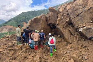 Bão số 11 giật cấp 14, Bộ Xây dựng ra công điện khẩn