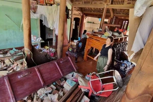 Miễn, giảm thuế cho người dân bị thiệt hại do bão số 10 và 11