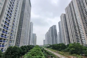 Giấc mơ an cư: Người thoát hiểm, người lỡ chuyến tàu