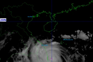 Bão số 13 giật cấp 17, cách Quy Nhơn 90km, Bộ Xây dựng yêu cầu sẵn sàng phương án cứu hộ