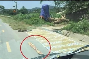 Phơi lúa trên đường: Coi chừng bị xử lý hình sự