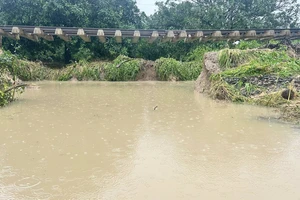 Nước rút dần, đường sắt bắt đầu chuyển tải hành khách trở lại ở một số tuyến