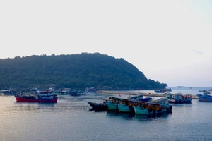 Bổ sung sân bay Thổ Chu vào quy hoạch, An Giang sẽ có 3 sân bay