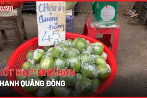 Video: Bán cả tạ chanh Quảng Đông mỗi ngày nhờ cơn sốt ‘trà chanh giã tay’