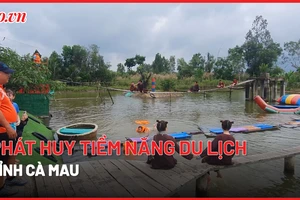 Cà Mau: Phát huy tiềm năng du lịch sinh thái, du lịch cộng đồng.
