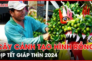 Ngắm loạt cây cảnh tạo hình rồng năm Giáp Thìn 2024