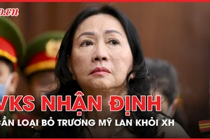 VKS nhận định 'cần loại bỏ Trương Mỹ Lan ra khỏi xã hội'