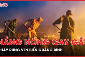 Quảng Bình: Cháy rừng ven biển dưới nắng nóng gay gắt
