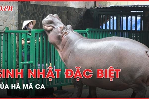 Du khách thích thú dự sinh nhật bé Hà Mã Ca tại Thảo cầm viên Sài Gòn