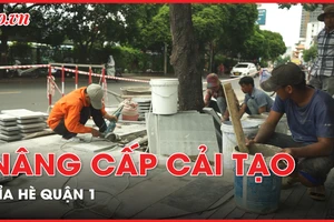 Tất bật nâng cấp vỉa hè ở quận 1, TP.HCM