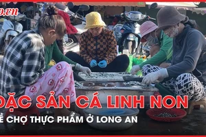 Cá linh non - đặc sản mùa nước nổi bắt đầu về chợ ở Long An 