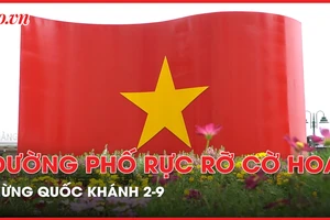 Đường phố TP.HCM trang hoàng rực rỡ chào mừng Quốc khánh 2-9