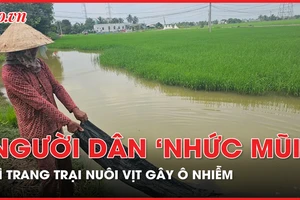 Người dân 'gồng mình' chịu đựng trang trại nuôi vịt gây ô nhiễm, chây ì di dời