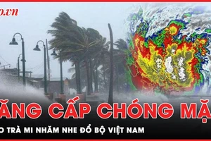 Bão Trà Mi giật cấp 15, nhăm nhe đổ bộ Trung bộ Việt Nam 