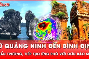 Công điện chỉ đạo các tỉnh từ Quảng Ninh đến Bình Định ứng phó bão số 9 USAGI 