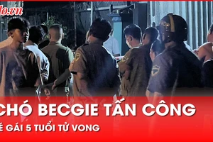 Đau lòng bé gái 5 tuổi tử vong vì bị hai con chó becgie tấn công