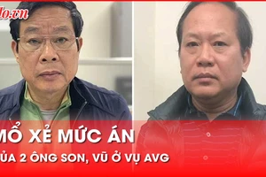 Mổ xẻ mức án của 2 ông Son, Vũ ở vụ án MobiFone - AVG