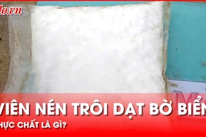 Sự thật bất ngờ về 1.505 viên nén màu trắng trôi dạt vào bờ biển Quảng Nam 