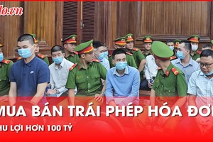 Xét xử đường dây mua bán trái phép hóa đơn lớn nhất từ trước đến nay