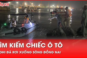 Video: Hối hả tìm kiếm chiếc ô tô nghi rơi xuống sông Đồng Nai trong đêm