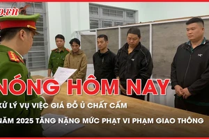 Nóng hôm nay 31-12: Vụ việc giá đỗ ủ chất cấm bị xử lý ra sao?; Năm 2025 tăng mức phạt vi phạm giao thông