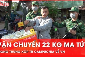 Video: Vận chuyển hơn 22kg ma túy trong thùng xốp từ Campuchia về Việt Nam