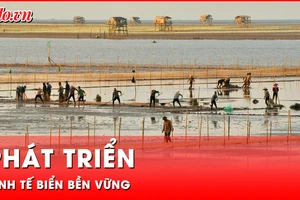 Video: Nam Định đẩy mạnh phát triển kinh tế biển bền vững