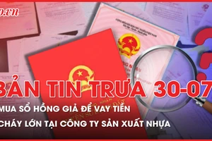 Bản tin trưa 30-7: Lên mạng mua sổ hồng giả để vay tiền; Cháy lớn tại công ty sản xuất nhựa