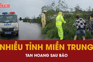 Nhiều tỉnh miền Trung tan hoang sau bão 