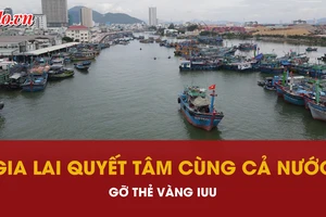 Gia Lai ‘vượt khó’ cùng cả nước gỡ thẻ vàng IUU