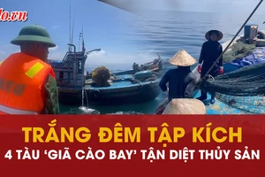 Hải đội 2 và Biên phòng trắng đêm tập kích 4 tàu ‘giã cào bay’ tận diệt thủy sản