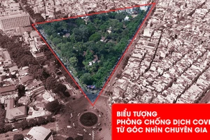 Biểu tượng phòng chống dịch COVID-19: Chuyên gia nói gì ?