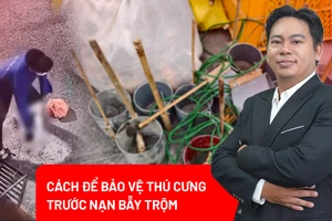 Nạn trộm chó, mèo hoành hành: Cách để thú cưng tránh ‘lọt vào tầm ngắm’